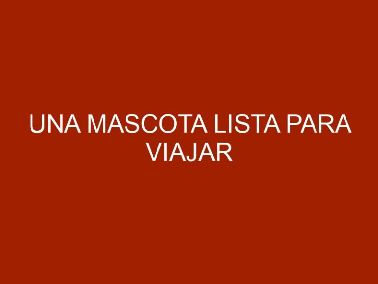 Una mascota lista para viajar