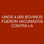 Unos 4.000 bovinos fueron vacunados contra la aftosa en Falcón