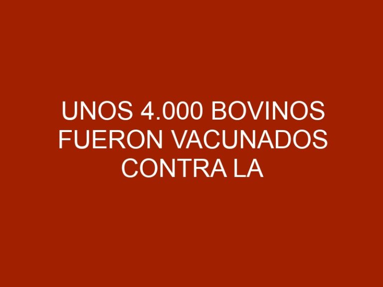 Unos 4.000 bovinos fueron vacunados contra la aftosa en Falcón