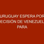 Uruguay espera por decisión de Venezuela para exportar pollos