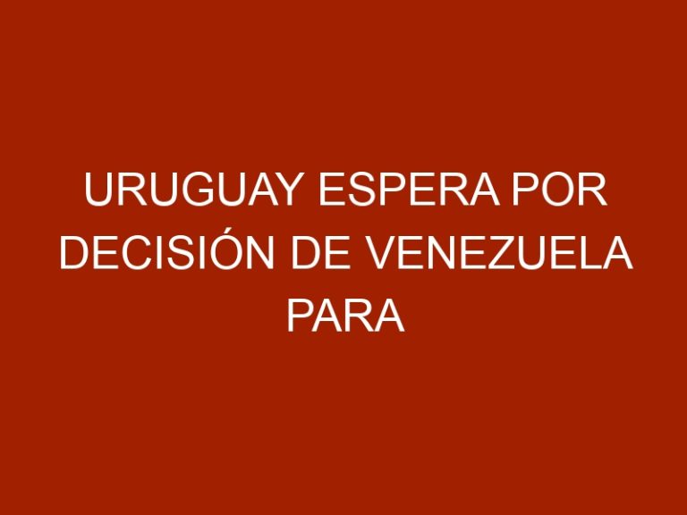 Uruguay espera por decisión de Venezuela para exportar pollos