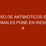Uso de antibióticos en animales pone en riesgo a los humanos