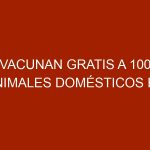 Vacunan gratis a 100 animales domésticos en Caracas