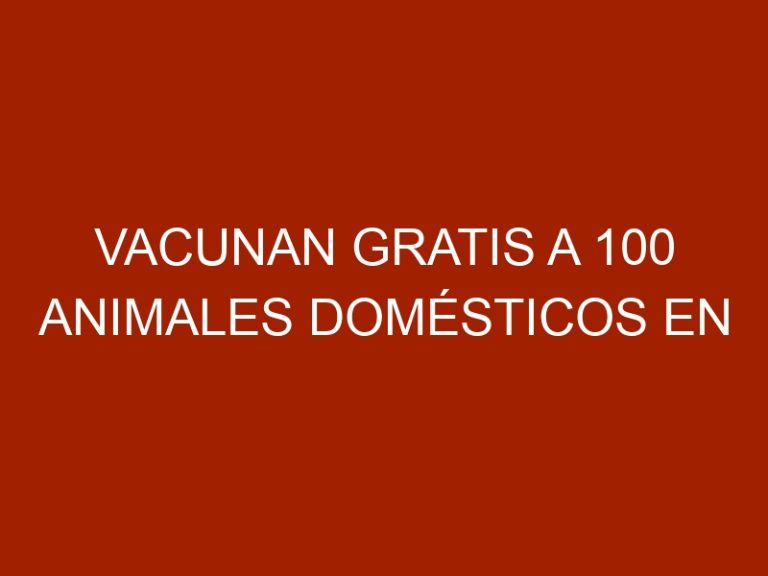 Vacunan gratis a 100 animales domésticos en Caracas