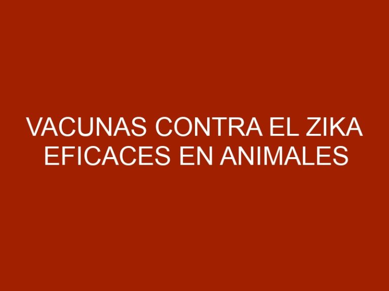 Vacunas contra el zika eficaces en animales generan optimismo