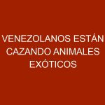 Venezolanos están cazando animales exóticos para comer