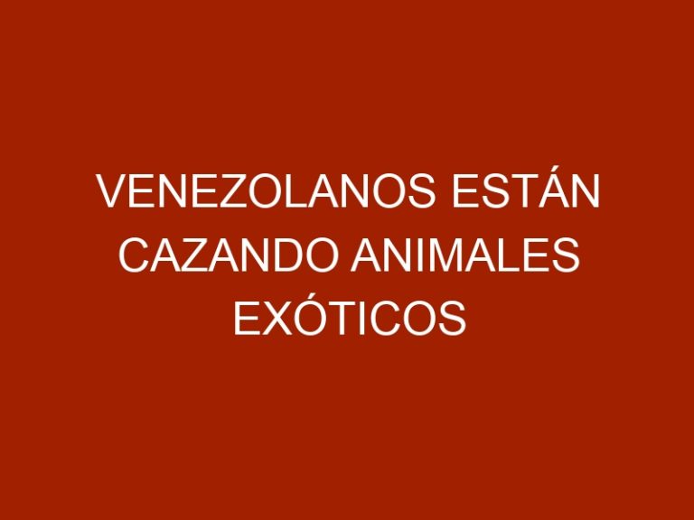 Venezolanos están cazando animales exóticos para comer