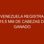 Venezuela registra 15,5 MM de cabezas de ganado según el Ministerio