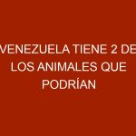 Venezuela tiene 2 de los animales que podrían desaparecer en 2019