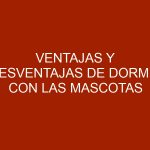 Ventajas y desventajas de dormir con las mascotas