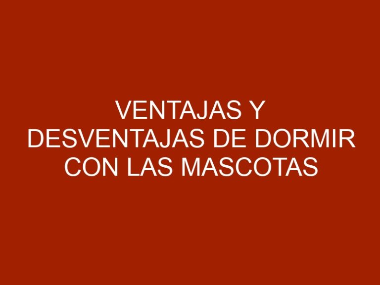 Ventajas y desventajas de dormir con las mascotas