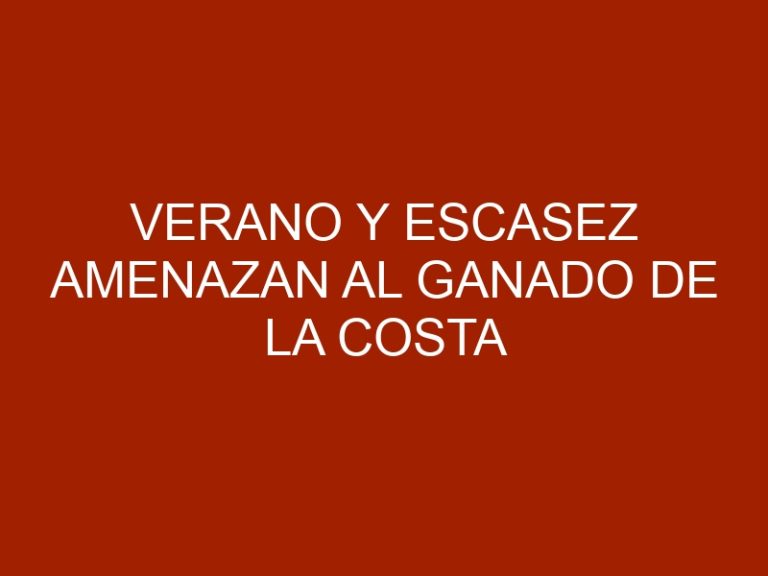 Verano y escasez amenazan al ganado de la Costa Oriental del Lago