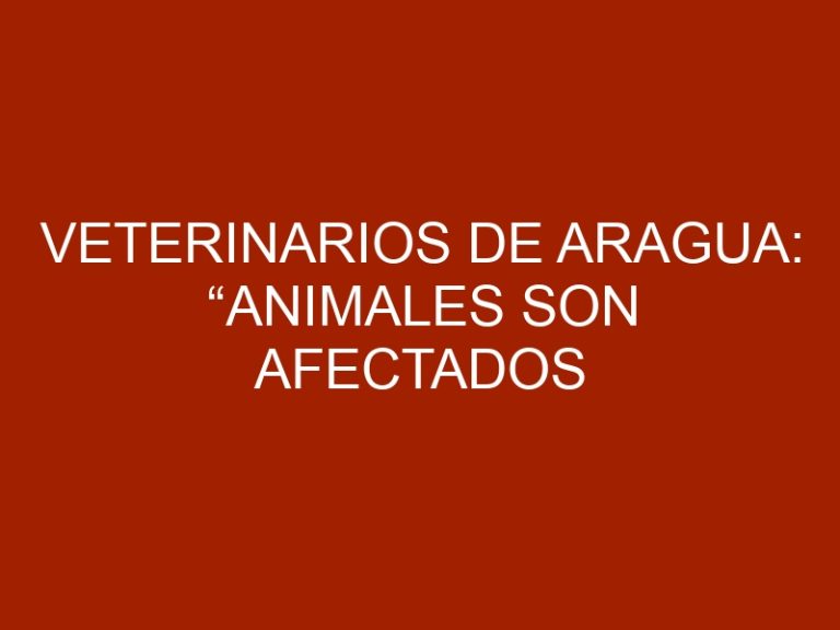 Veterinarios de Aragua: “Animales son afectados por falta de vacunas”