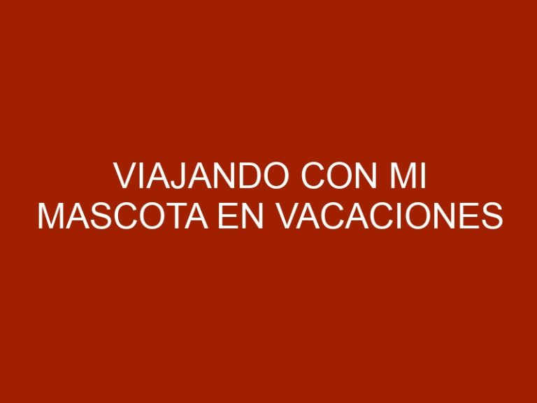 Viajando con mi mascota en vacaciones