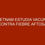Vietnam estudia vacuna contra fiebre aftosa