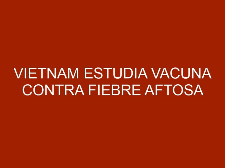 Vietnam estudia vacuna contra fiebre aftosa