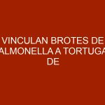 Vinculan brotes de salmonella a tortugas de mascota