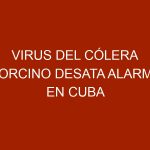 Virus del cólera porcino desata alarma en Cuba