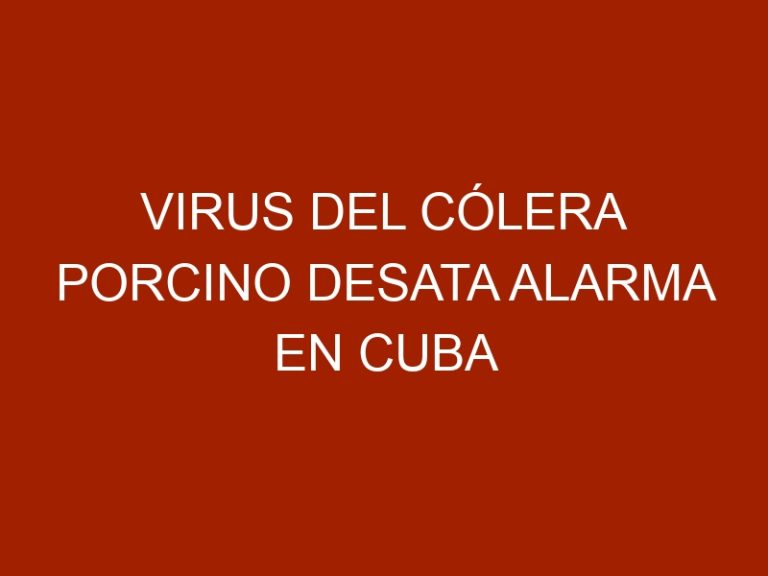 Virus del cólera porcino desata alarma en Cuba