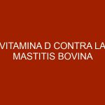 Vitamina D contra la Mastitis Bovina