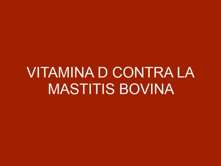 Vitamina D contra la Mastitis Bovina